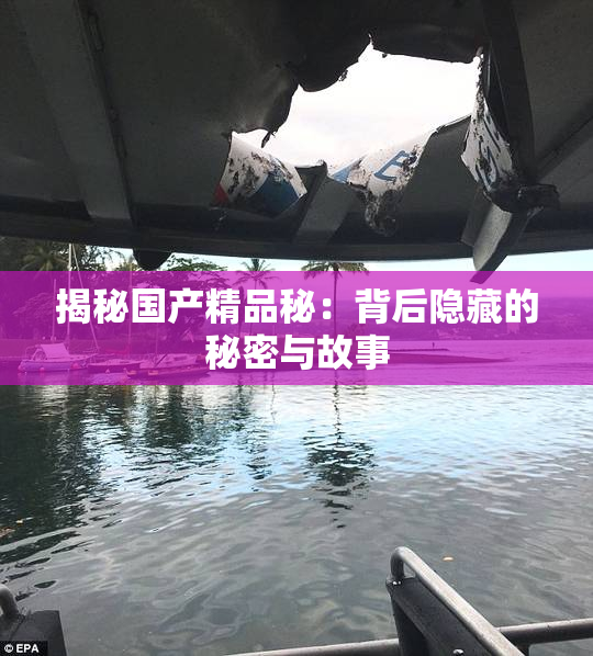 揭秘国产精品秘：背后隐藏的秘密与故事