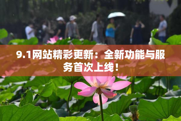 9.1网站精彩更新：全新功能与服务首次上线！