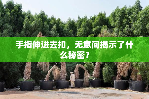 手指伸进去扣，无意间揭示了什么秘密？