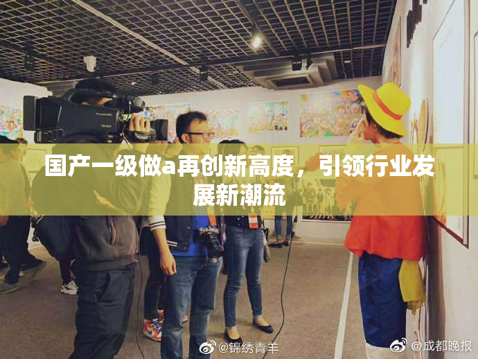国产一级做a再创新高度，引领行业发展新潮流