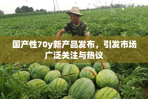 国产性70y新产品发布，引发市场广泛关注与热议