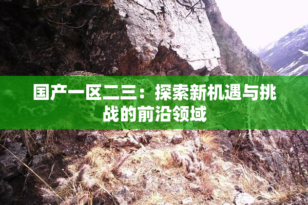 国产一区二三：探索新机遇与挑战的前沿领域