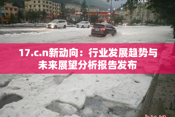 17.c.n新动向：行业发展趋势与未来展望分析报告发布