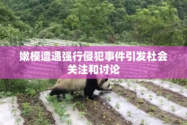 嫩模遭遇强行侵犯事件引发社会关注和讨论