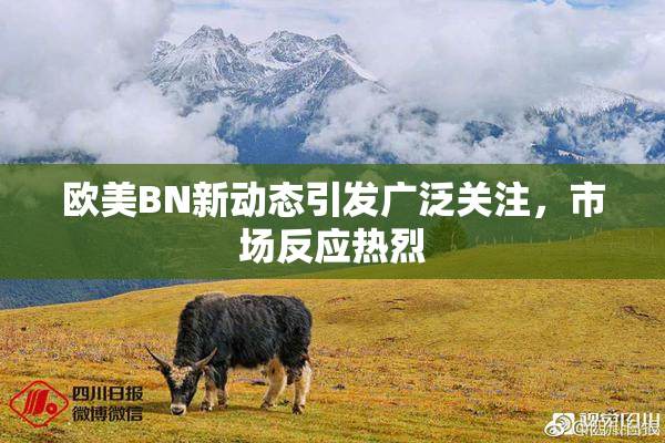 欧美BN新动态引发广泛关注，市场反应热烈