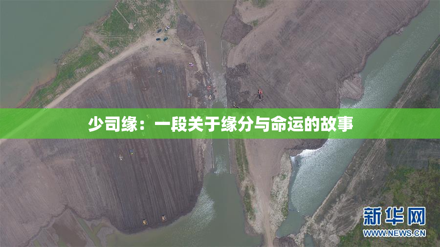 少司缘：一段关于缘分与命运的故事