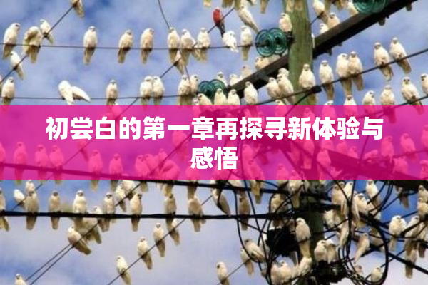 初尝白的第一章再探寻新体验与感悟