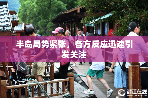 半岛局势紧张，各方反应迅速引发关注