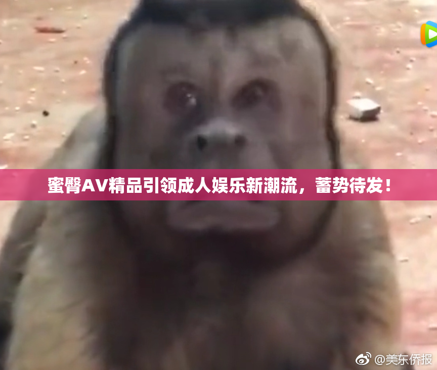 蜜臀AV精品引领成人娱乐新潮流，蓄势待发！