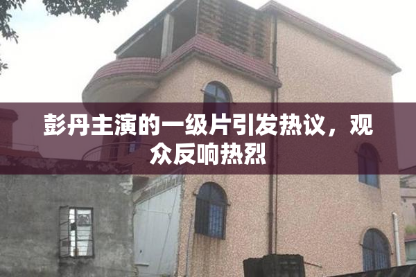 彭丹主演的一级片引发热议，观众反响热烈