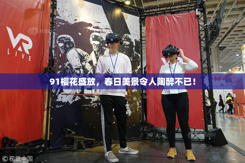 91樱花盛放，春日美景令人陶醉不已！