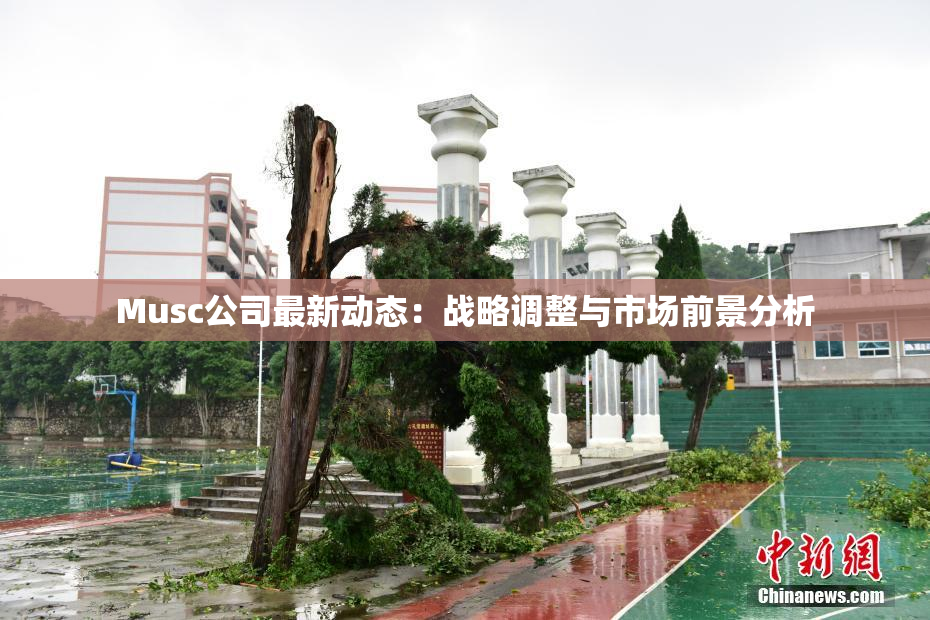 Musc公司最新动态：战略调整与市场前景分析