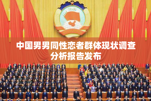 中国男男同性恋者群体现状调查分析报告发布
