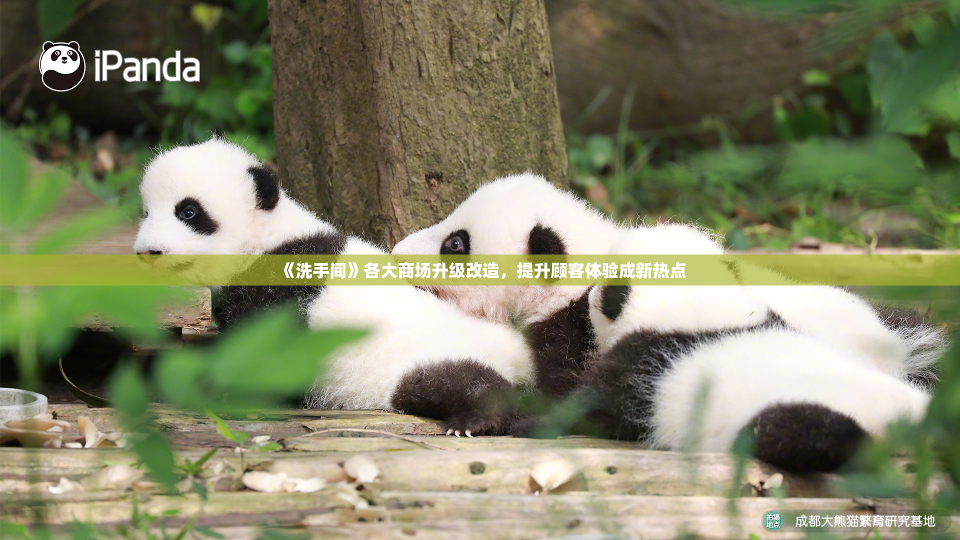 《洗手间》各大商场升级改造，提升顾客体验成新热点