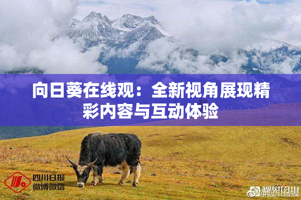 向日葵在线观：全新视角展现精彩内容与互动体验