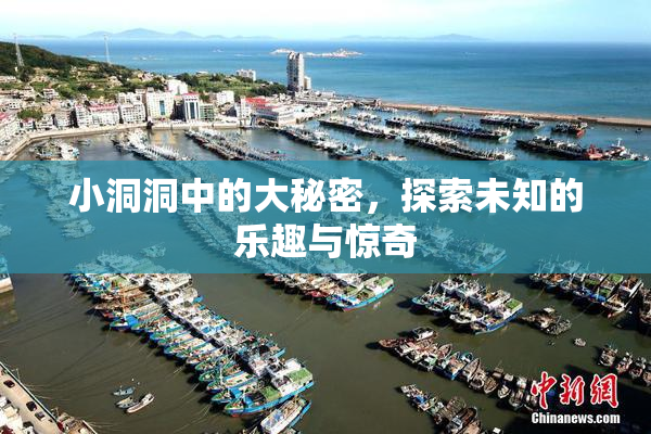 小洞洞中的大秘密，探索未知的乐趣与惊奇