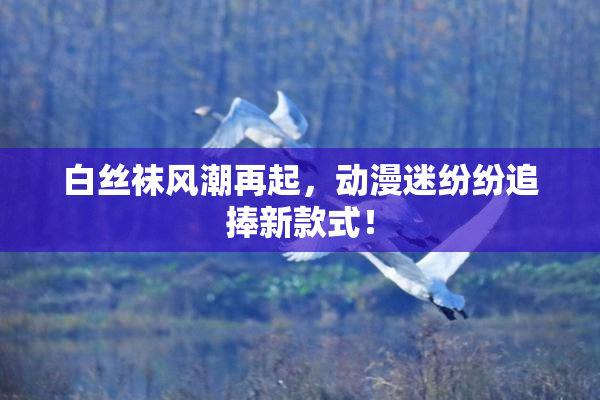 白丝袜风潮再起，动漫迷纷纷追捧新款式！