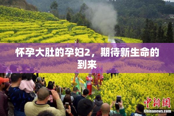 怀孕大肚的孕妇2，期待新生命的到来