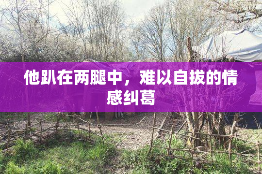他趴在两腿中，难以自拔的情感纠葛