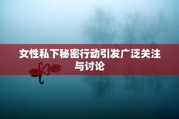 女性私下秘密行动引发广泛关注与讨论