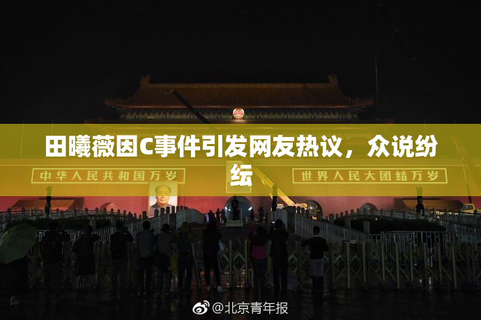 田曦薇因C事件引发网友热议，众说纷纭