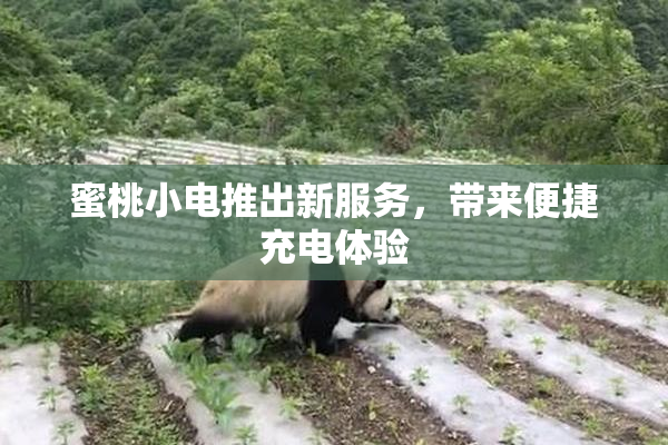 蜜桃小电推出新服务，带来便捷充电体验