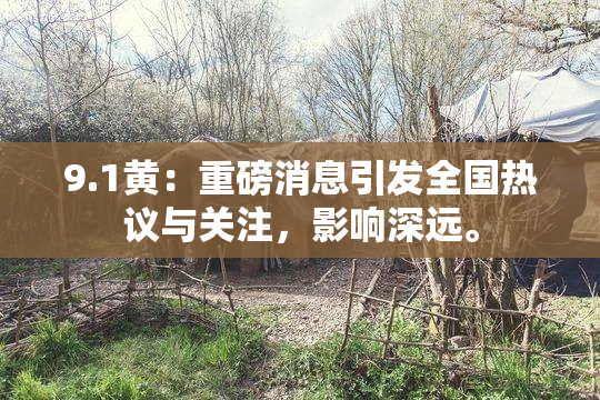 9.1黄：重磅消息引发全国热议与关注，影响深远。