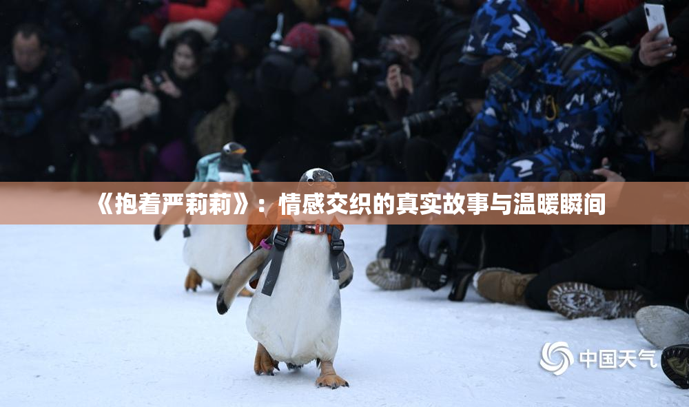 《抱着严莉莉》：情感交织的真实故事与温暖瞬间