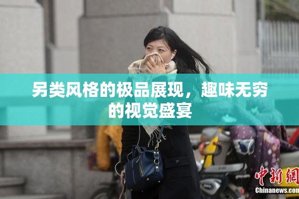 另类风格的极品展现，趣味无穷的视觉盛宴