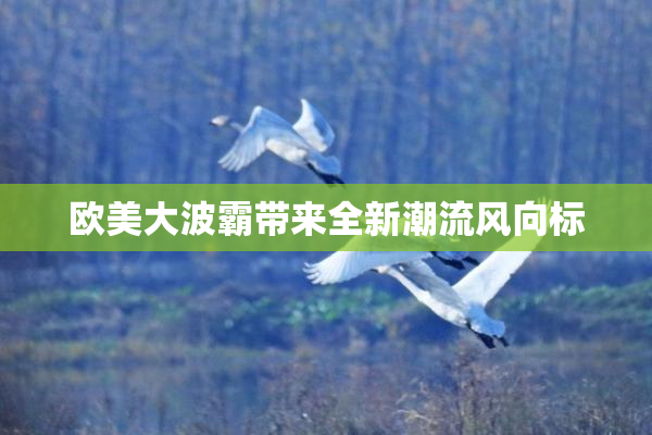 欧美大波霸带来全新潮流风向标