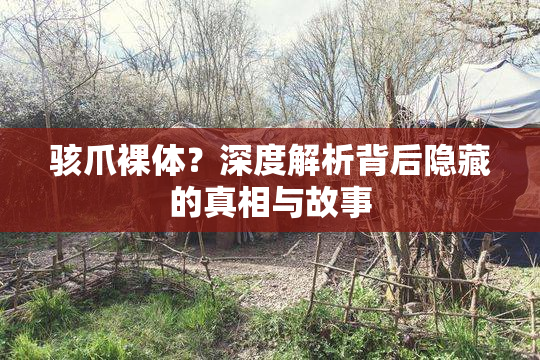 骇爪裸体？深度解析背后隐藏的真相与故事