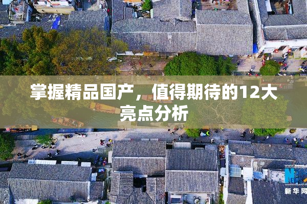 掌握精品国产，值得期待的12大亮点分析