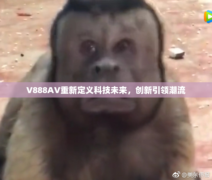 V888AV重新定义科技未来，创新引领潮流