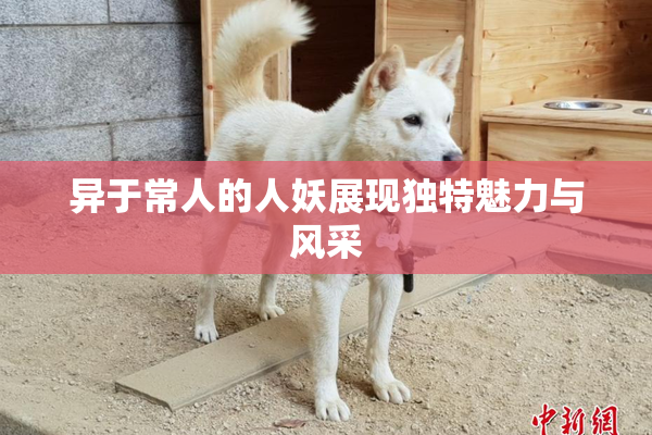 异于常人的人妖展现独特魅力与风采
