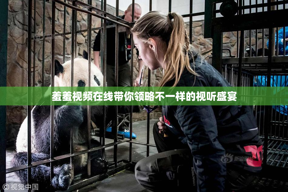 羞羞视频在线带你领略不一样的视听盛宴