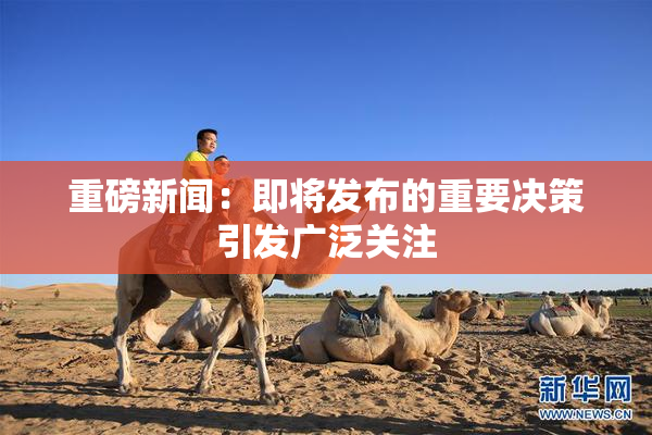 重磅新闻：即将发布的重要决策引发广泛关注