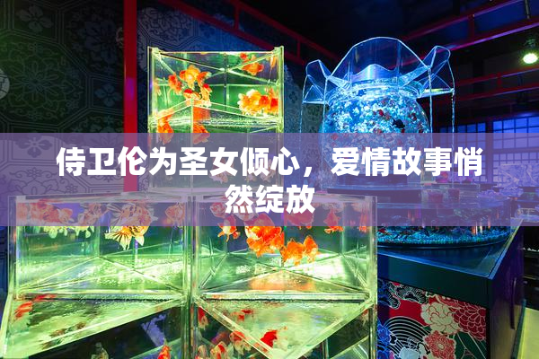 侍卫伦为圣女倾心，爱情故事悄然绽放