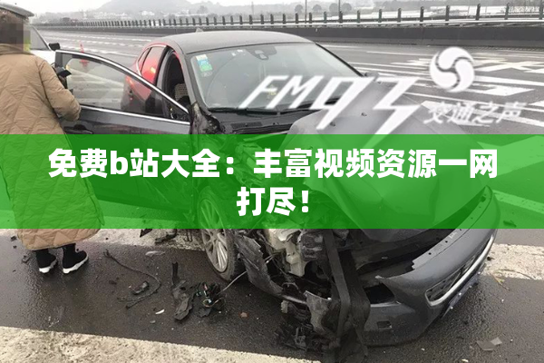 免费b站大全：丰富视频资源一网打尽！