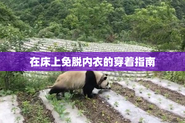在床上免脱内衣的穿着指南