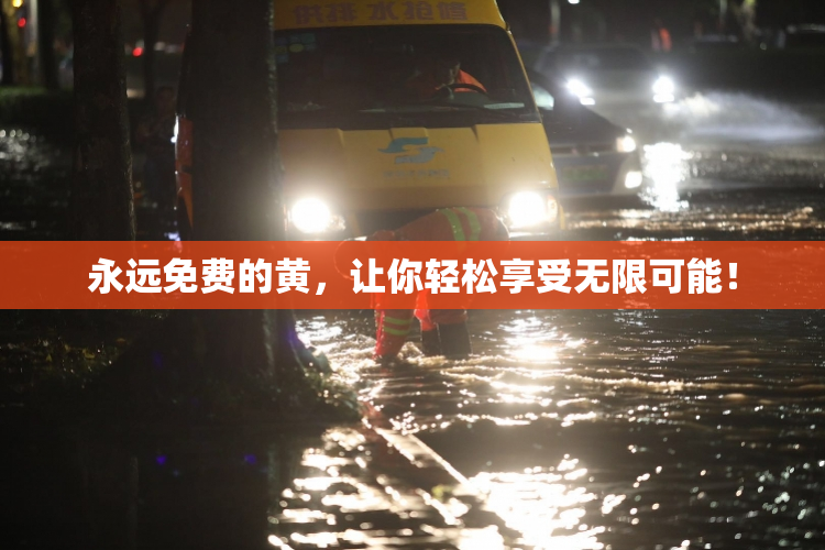 永远免费的黄，让你轻松享受无限可能！