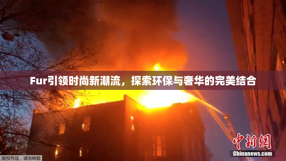 Fur引领时尚新潮流，探索环保与奢华的完美结合