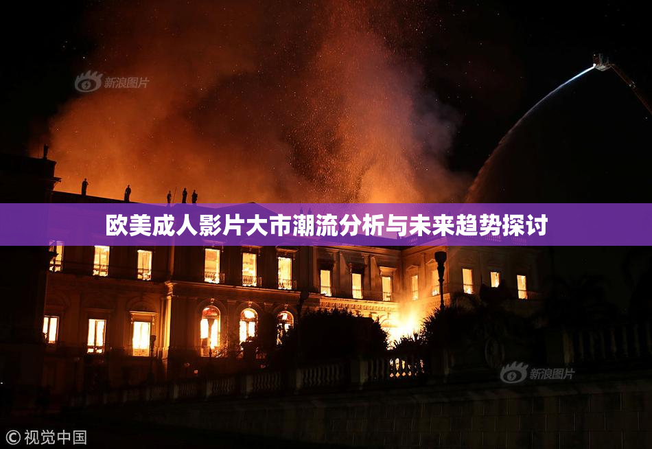 欧美成人影片大市潮流分析与未来趋势探讨