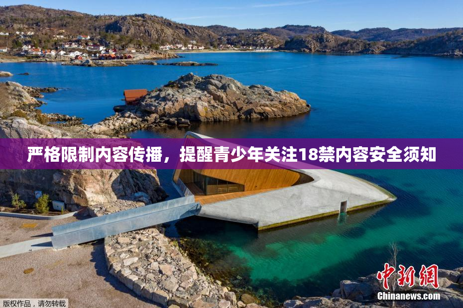 严格限制内容传播，提醒青少年关注18禁内容安全须知