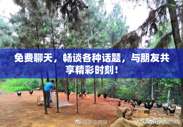 免费聊天，畅谈各种话题，与朋友共享精彩时刻！