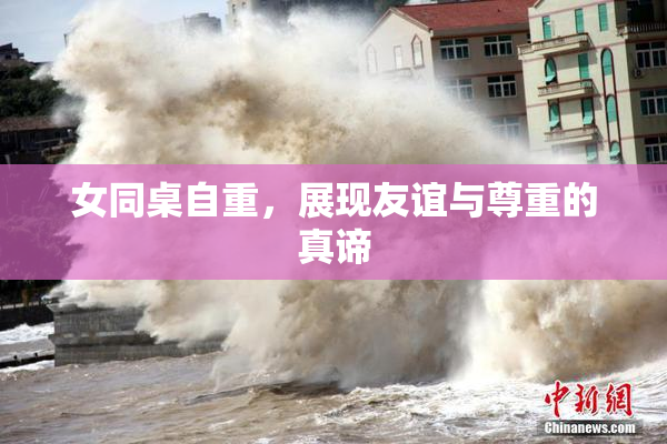女同桌自重，展现友谊与尊重的真谛