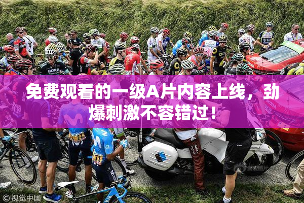 免费观看的一级A片内容上线，劲爆刺激不容错过！