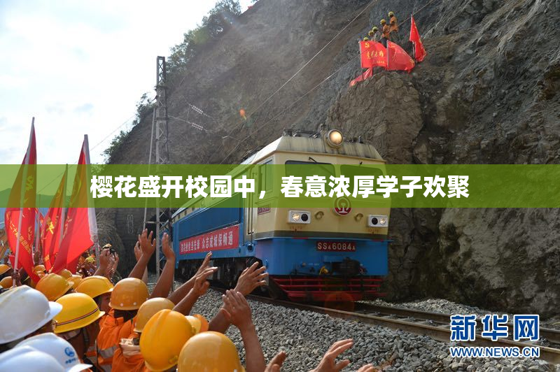 樱花盛开校园中，春意浓厚学子欢聚