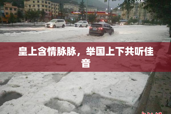 皇上含情脉脉，举国上下共听佳音