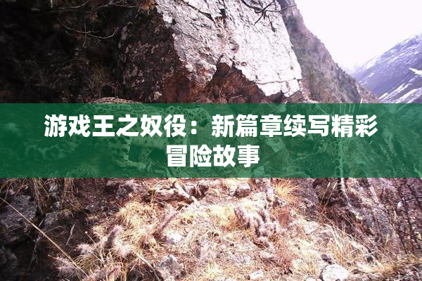 游戏王之奴役：新篇章续写精彩冒险故事