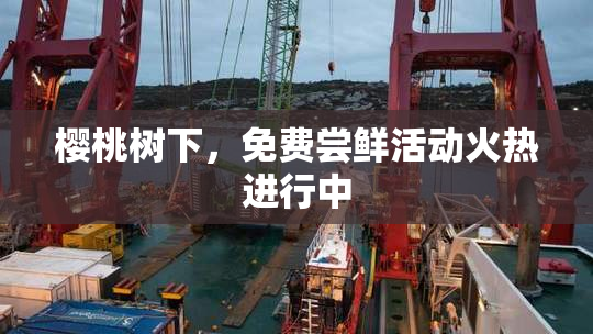 樱桃树下，免费尝鲜活动火热进行中